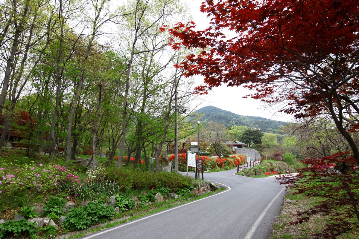 오서산자연휴양림 / 한국관광공사-이범수