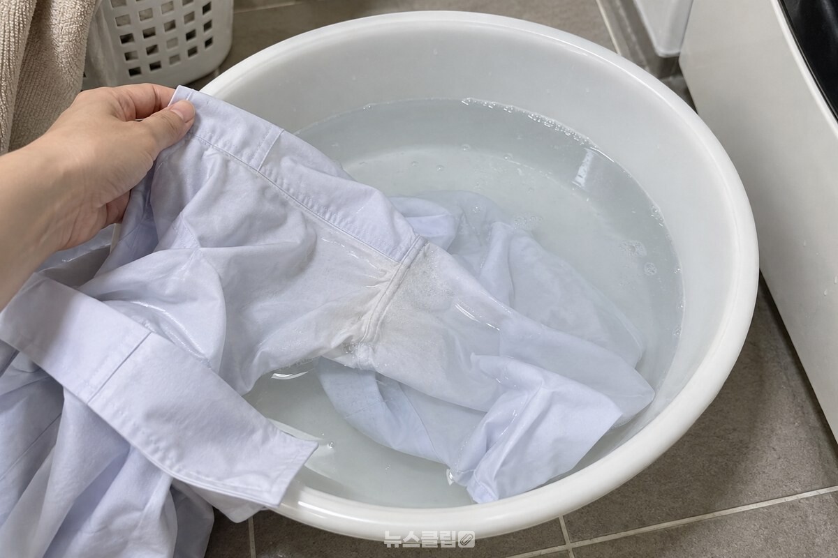 땀 얼룩이 남은 옷은 과탄산소다를 푼 미온수에 얼룩 부위만 담근다. / 기사 이해를 돕기 위한 생성형 이미지