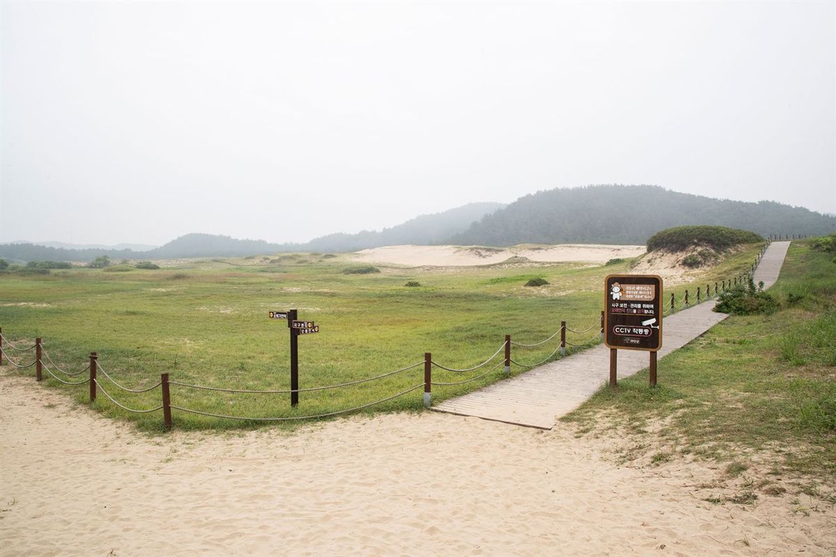 태안 신두리 해안사구 / 한국관광공사-이범수
