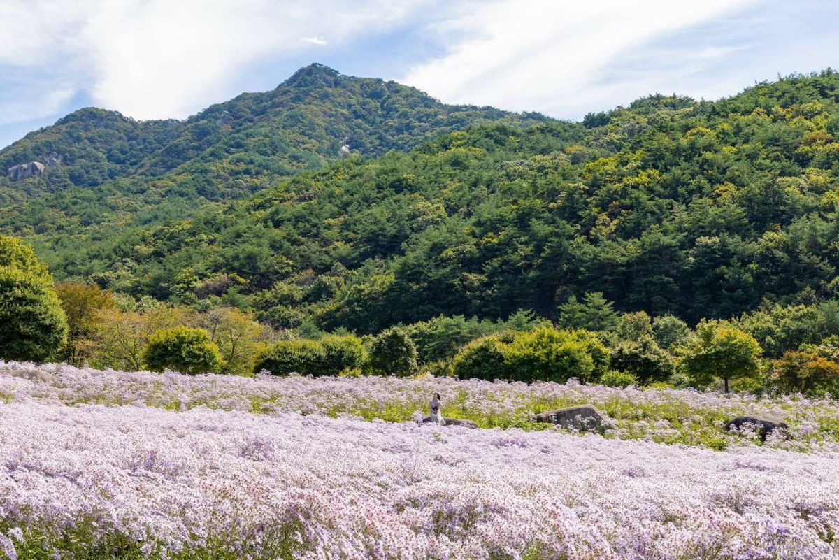 문희농원 / 한국관광공사-박장용