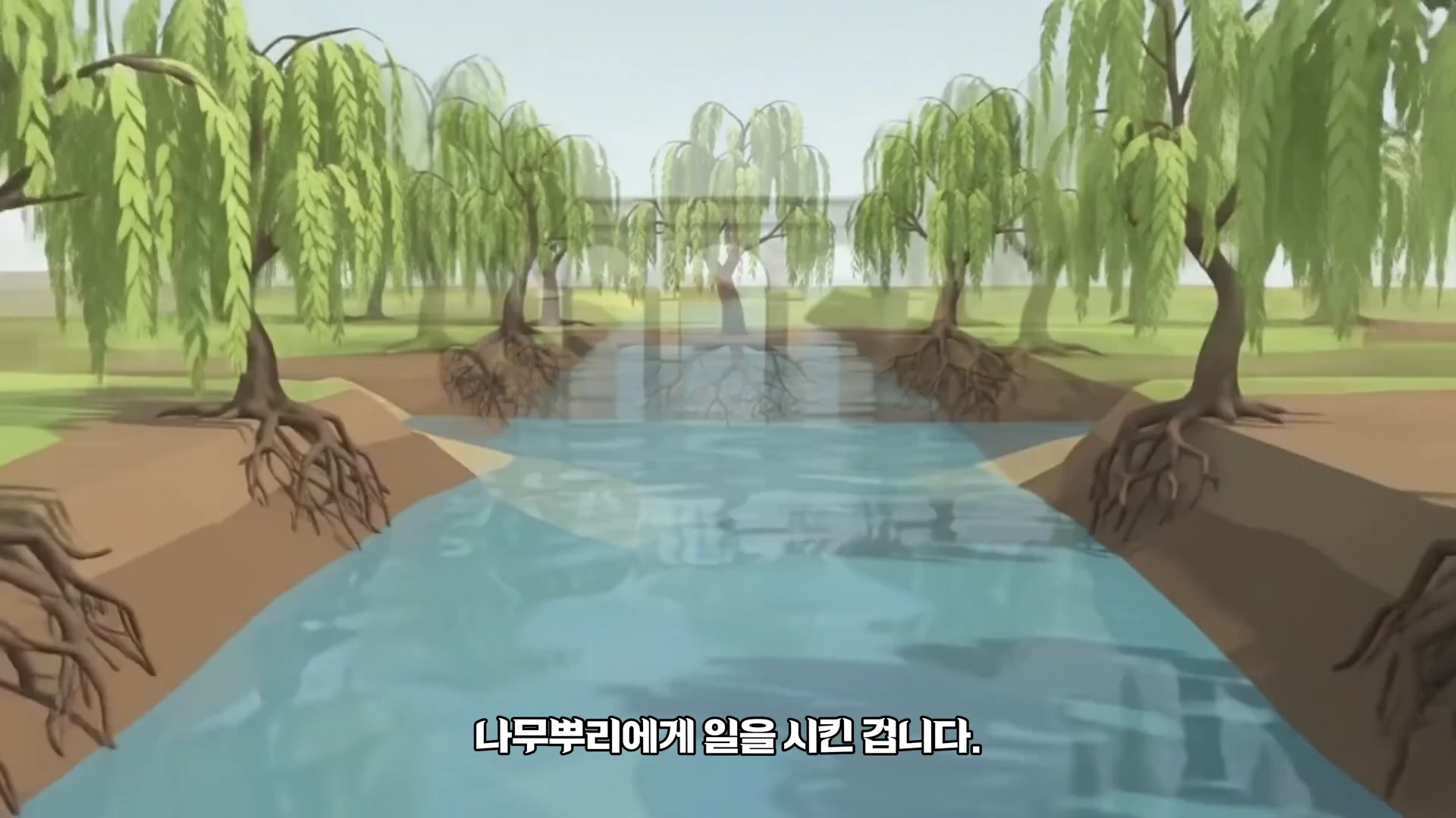 개천 양옆으로 버드나무들이 줄지어 서 있고, 땅 아래로 드러난 나무뿌리가 흙을 꽉 잡고 있는 모습이 묘사된 3D 그래픽 영상