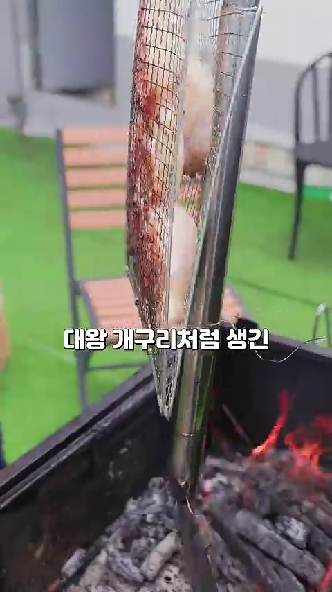 철제 그릴 망에 평평하게 펼쳐진 통닭이 숯불 화로 옆에 세워져 있는 모습