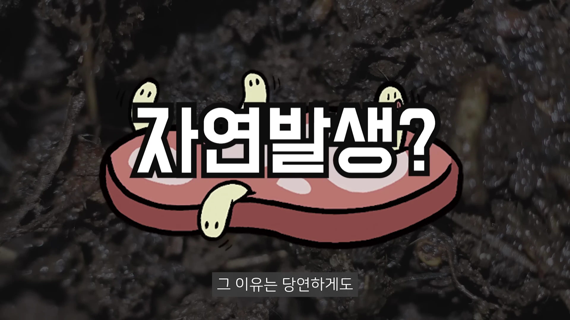 배경에 고기 그림과 구더기 캐릭터가 그려진 그래픽 위에 '자연발생?'이라는 흰색 큰 글자와 '그 이유는 당연하게도'라는 작은 자막이 적혀 있습니다.
