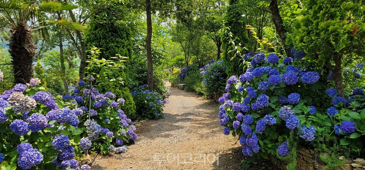 경상남도 통영시 물빛소리정원/사진-산림청