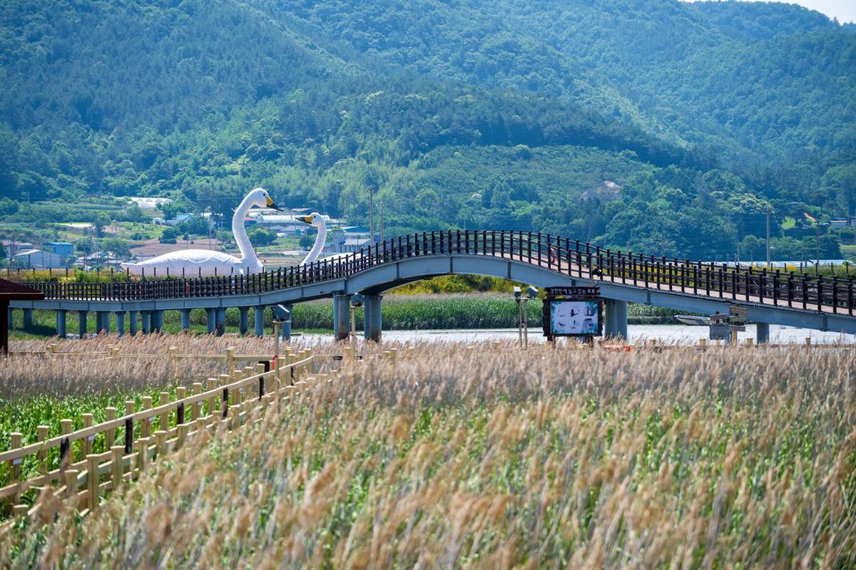 강진만생태공원 / 한국관광공사-김지호