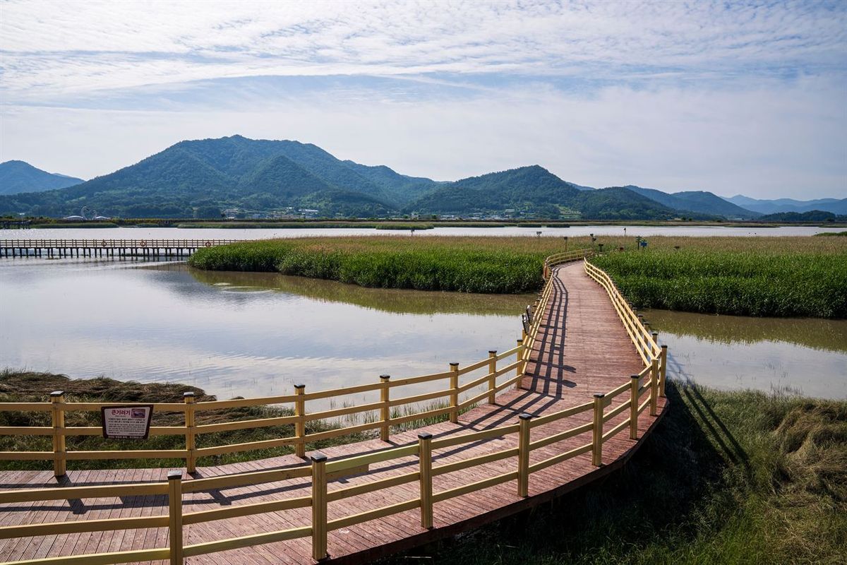 강진만생태공원 / 한국관광공사-김지호