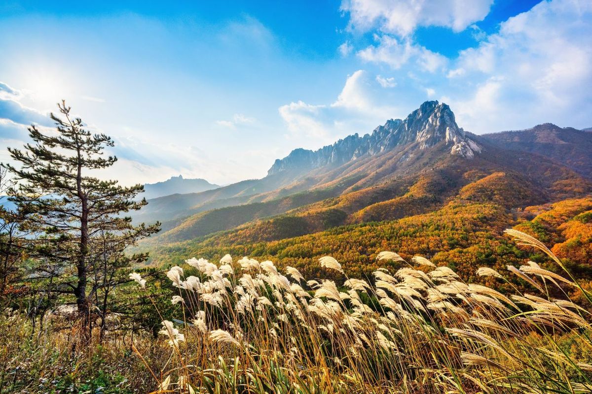 울산바위 추경 / 한국관광공사-이진옥