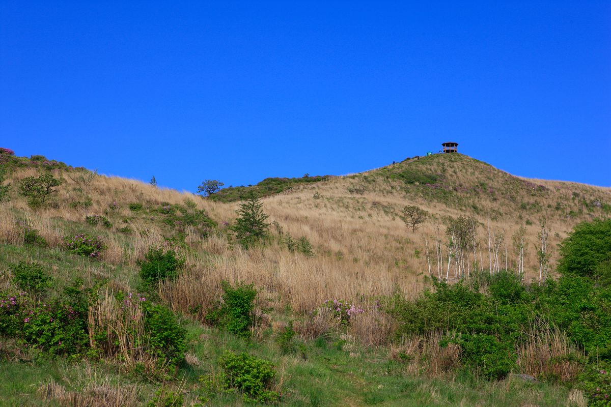 황매산 / 한국관광공사-김지호