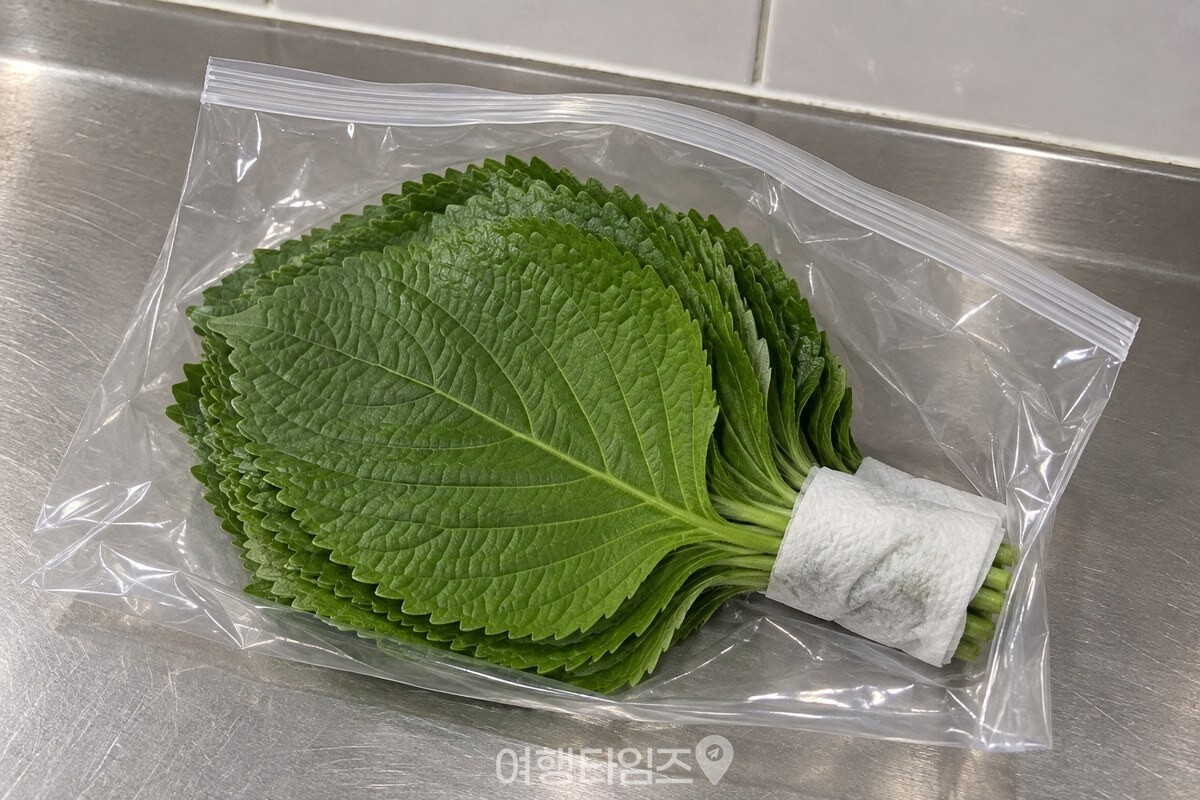 깻잎 한 묶음의 잎자루 끝 2~3cm만 젖은 키친타월로 감싸 지퍼백에 넣어 둔 모습. / 기사 이해를 돕기 위한 생성형 이미지