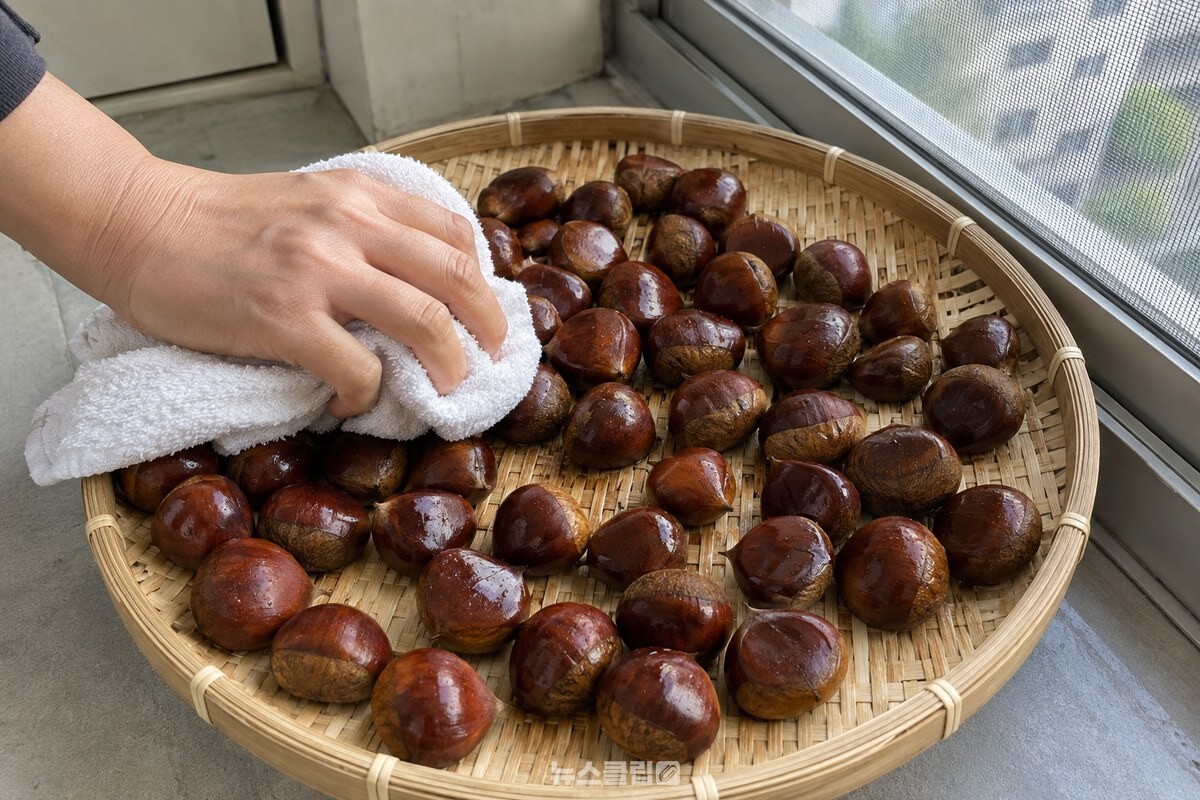 채반에 펼친 밤의 물기를 마른 수건으로 닦는 장면 / 기사 이해를 돕기 위한 생성형 이미지