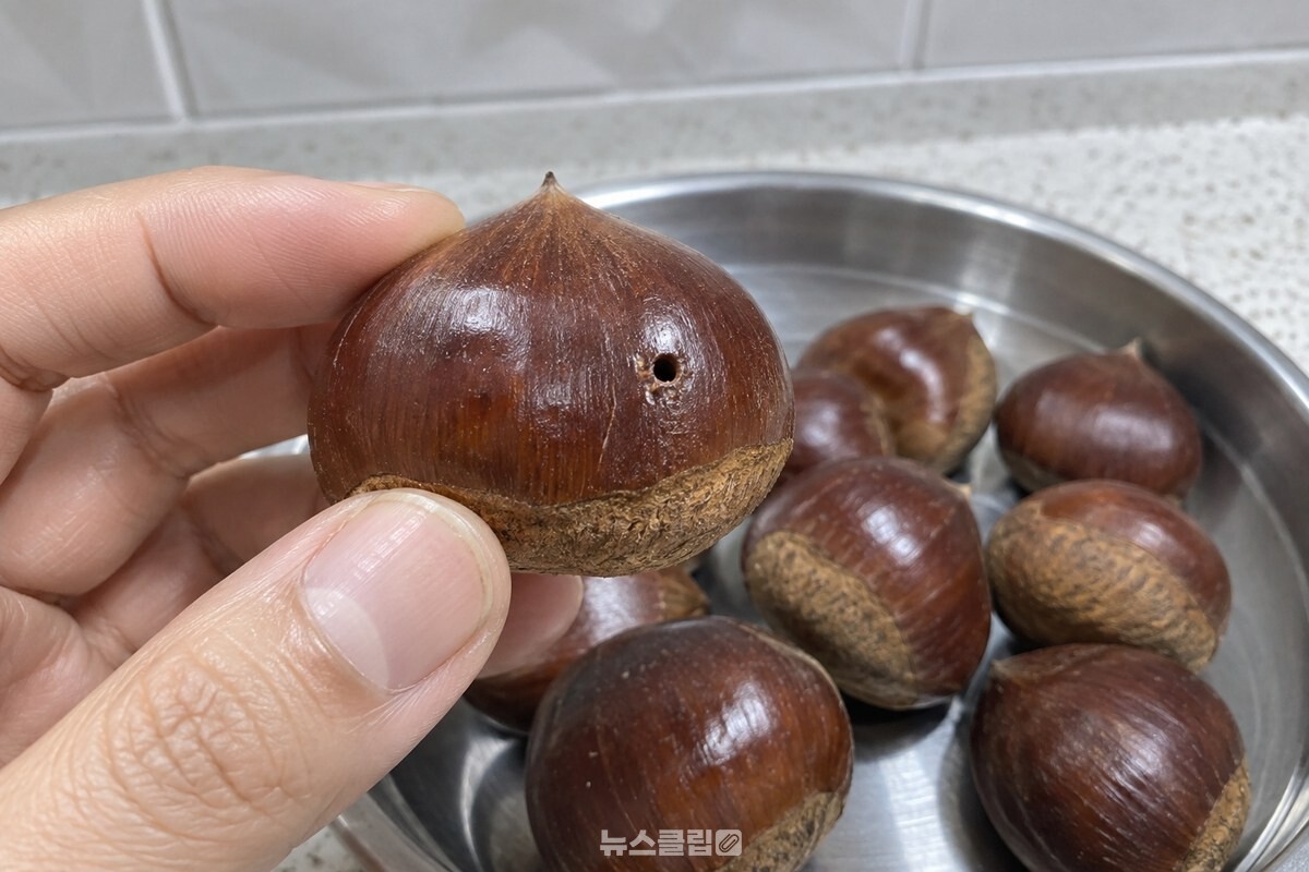 껍질의 작은 구멍을 가까이 살펴보는 생밤 / 기사 이해를 돕기 위한 생성형 이미지