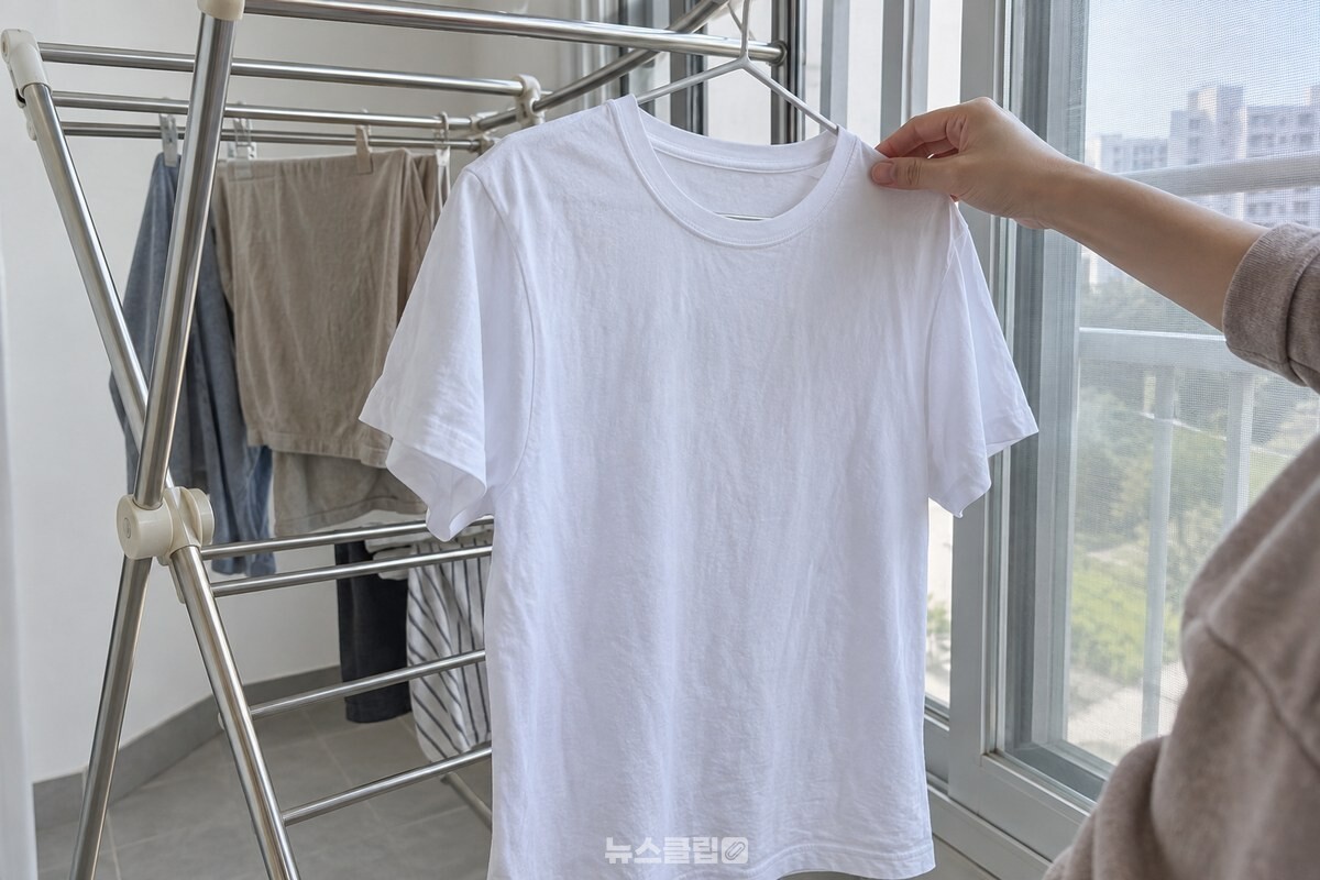 살짝 덜 마른 면 티셔츠를 실내 건조대에 걸어 마무리하는 모습 / 기사 이해를 돕기 위한 생성형 이미지