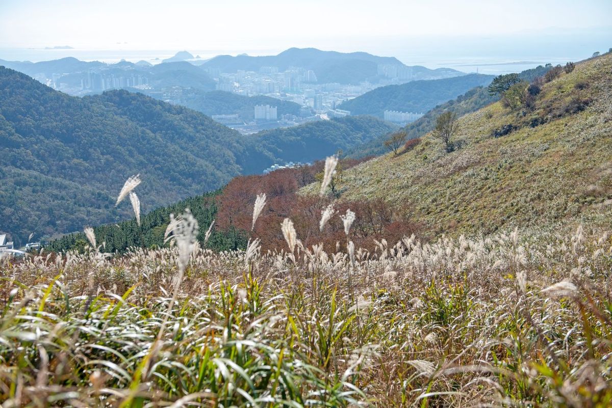 승학산 / 한국관광공사-부산관광공사