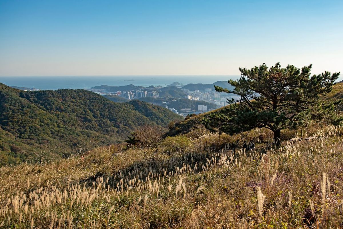 승학산 / 한국관광공사-부산관광공사