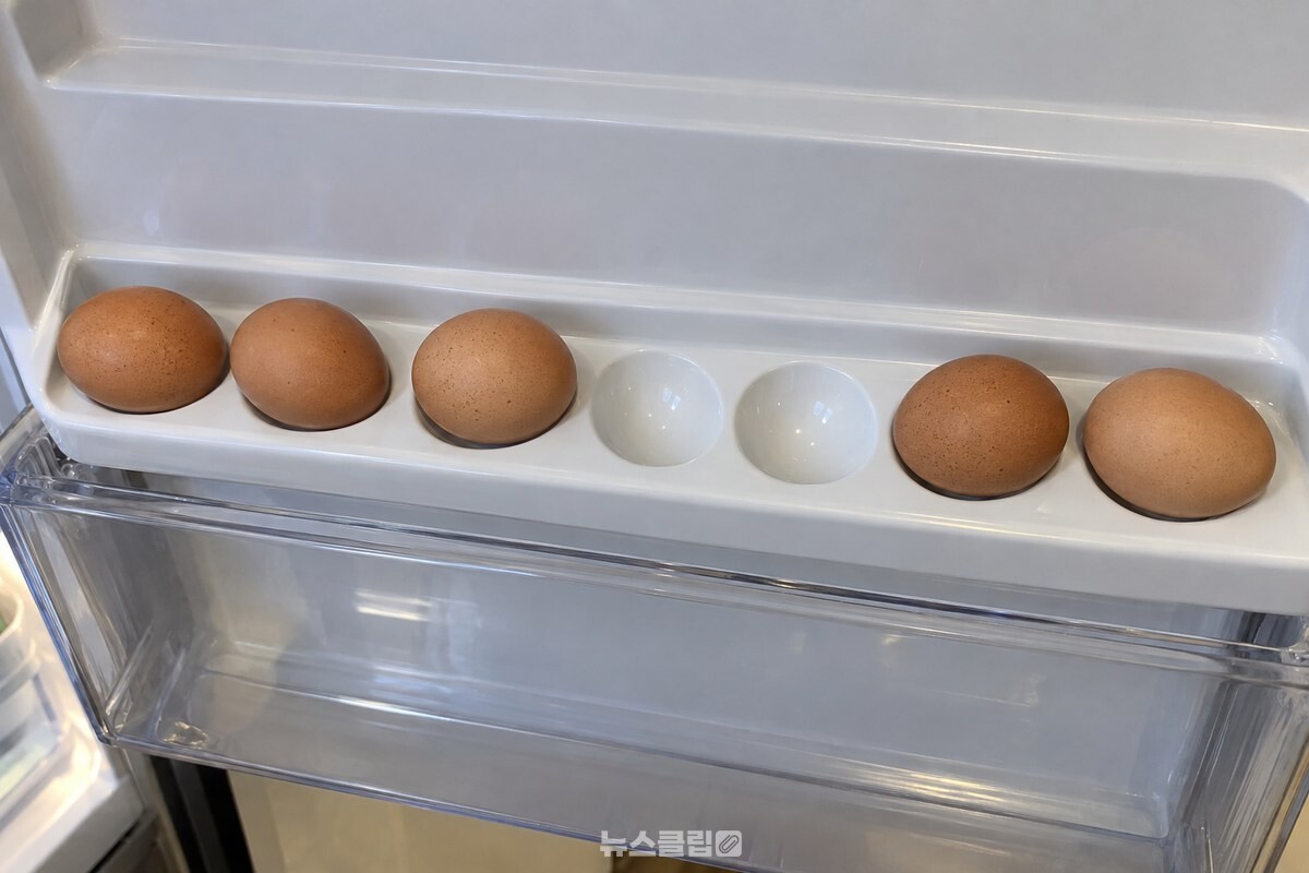 냉장고 문 안쪽에 달린 계란 홈 칸에 계란이 눕듯이 놓여 있고, 문이 열려 칸 전체가 보인다. / 기사 이해를 돕기 위한 생성형 이미지