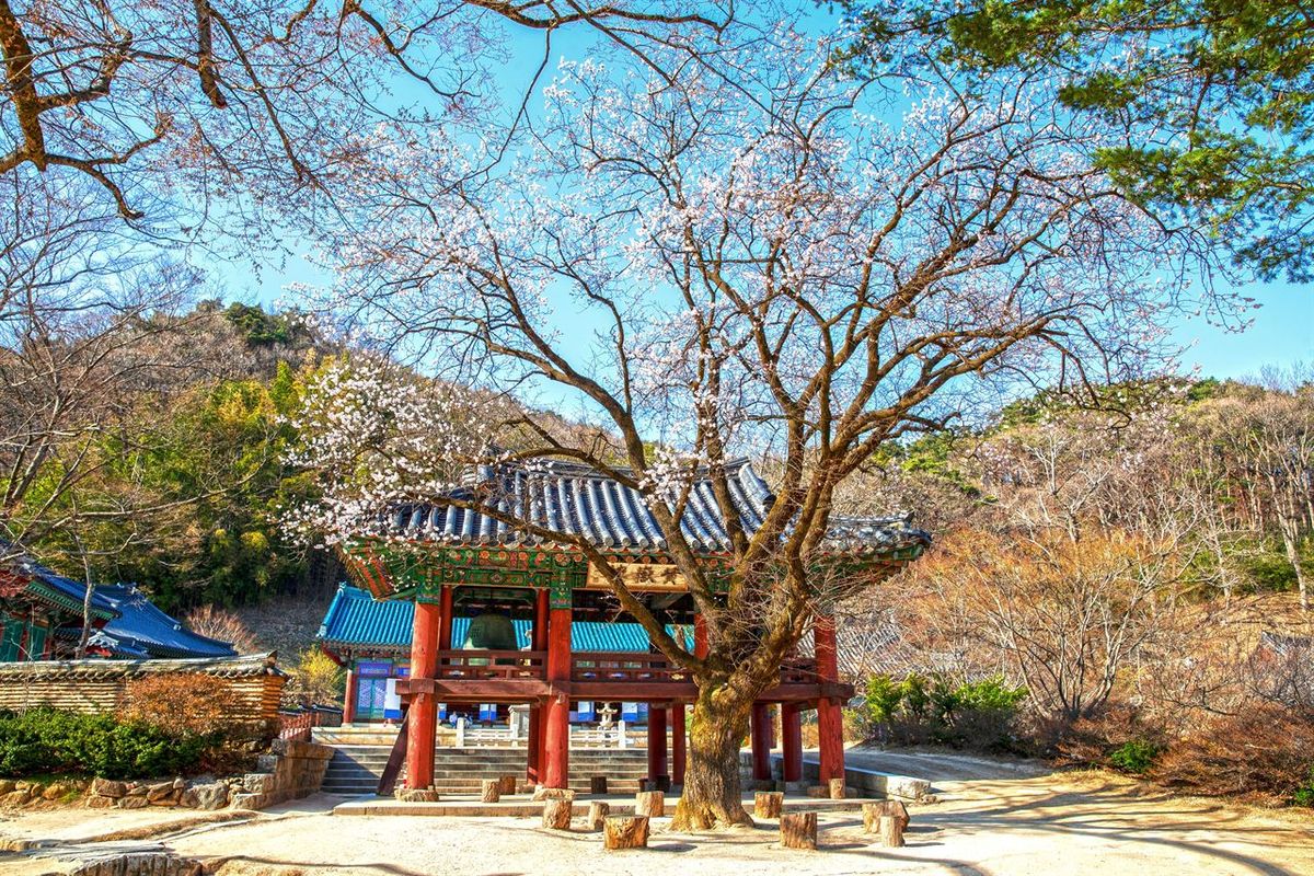 직지사 / 한국관광공사-이범수