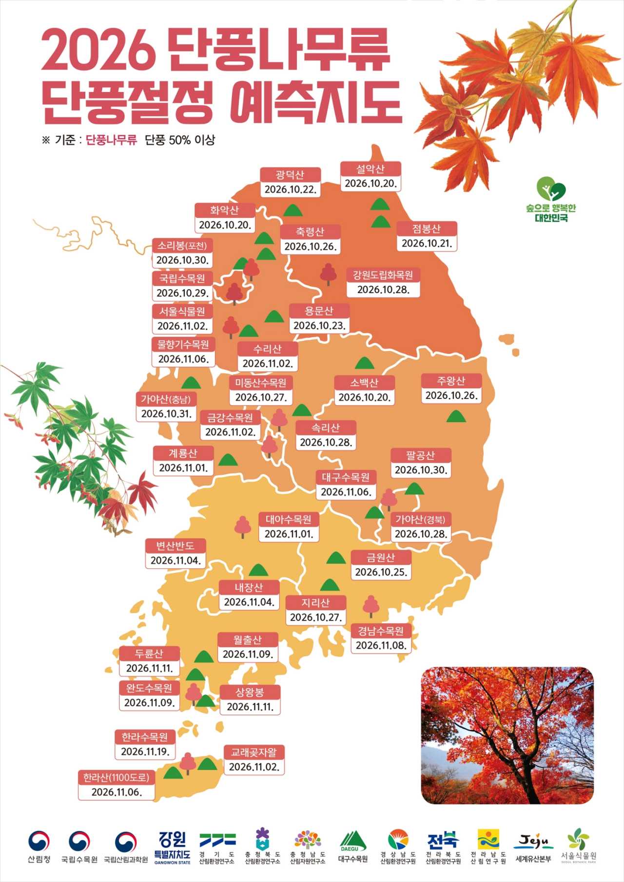 단풍나무류 예측지도 / 사진=산림청