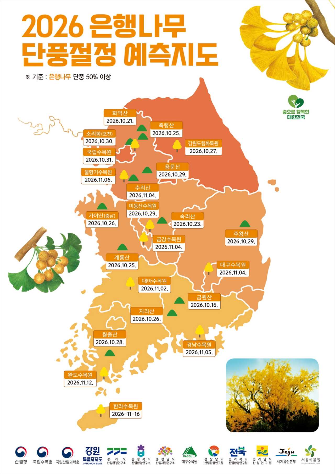 은행나무 예측지도 / 사진=산림청