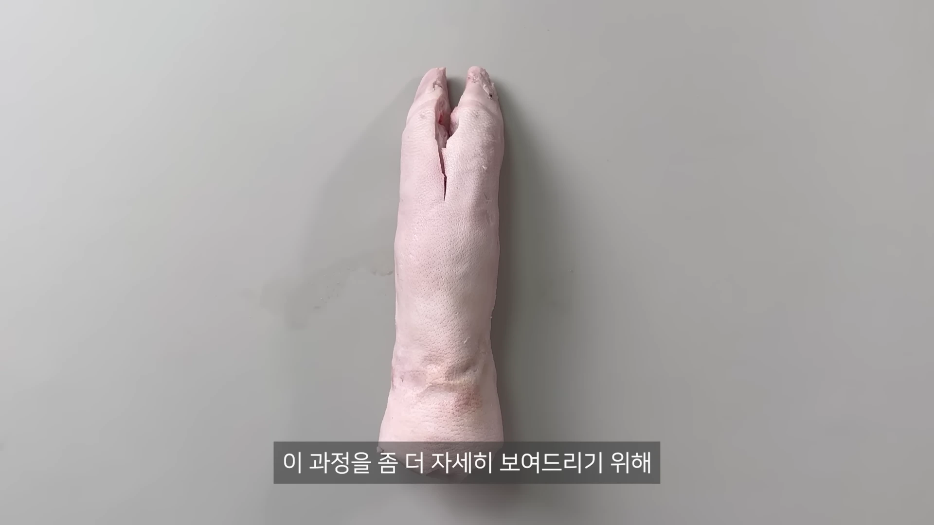 실험실 배경 위에 놓인 돼지 족발의 단면으로, 발가락 두 개가 선명하게 보이는 모습이 위에서 내려다본 시점으로 촬영되었습니다.