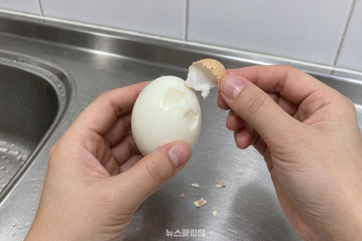 손톱으로 뜯어 낸 껍질 조각에 흰자가 조금 붙어 나와 계란 표면이 파여 있다. / 기사 이해를 돕기 위한 생성형 이미지