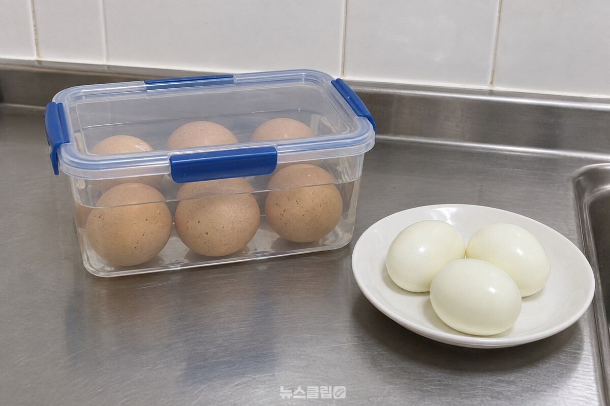 뚜껑을 덮은 사각 밀폐용기 안에 삶은 계란이 한 겹으로 담겨 있고, 옆 접시에는 껍질을 벗긴 계란이 놓여 있다. / 기사 이해를 돕기 위한 생성형 이미지