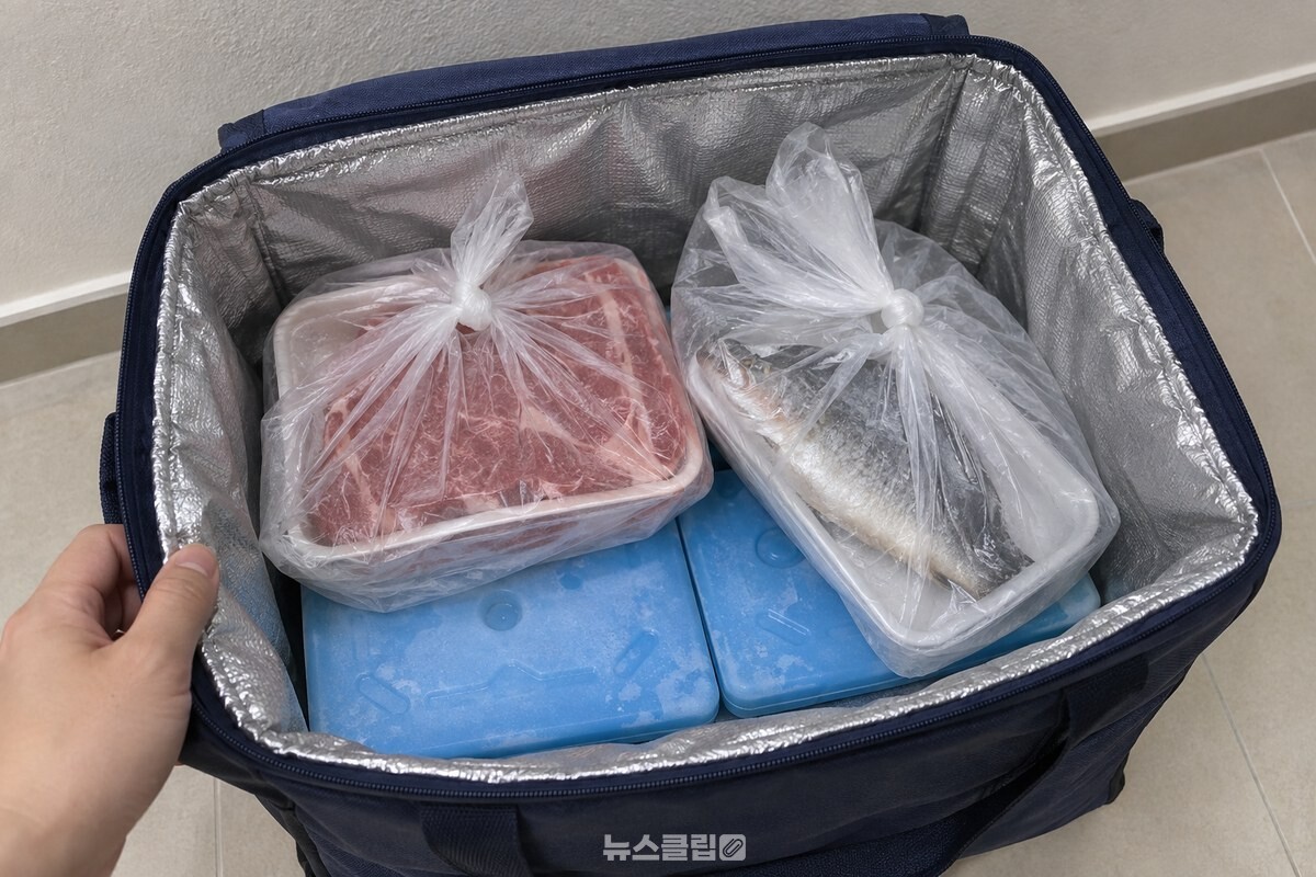 보냉가방 안 아이스팩 위에 밀봉한 고기와 생선 봉지를 올려 둔 모습 / 기사 이해를 돕기 위한 생성형 이미지