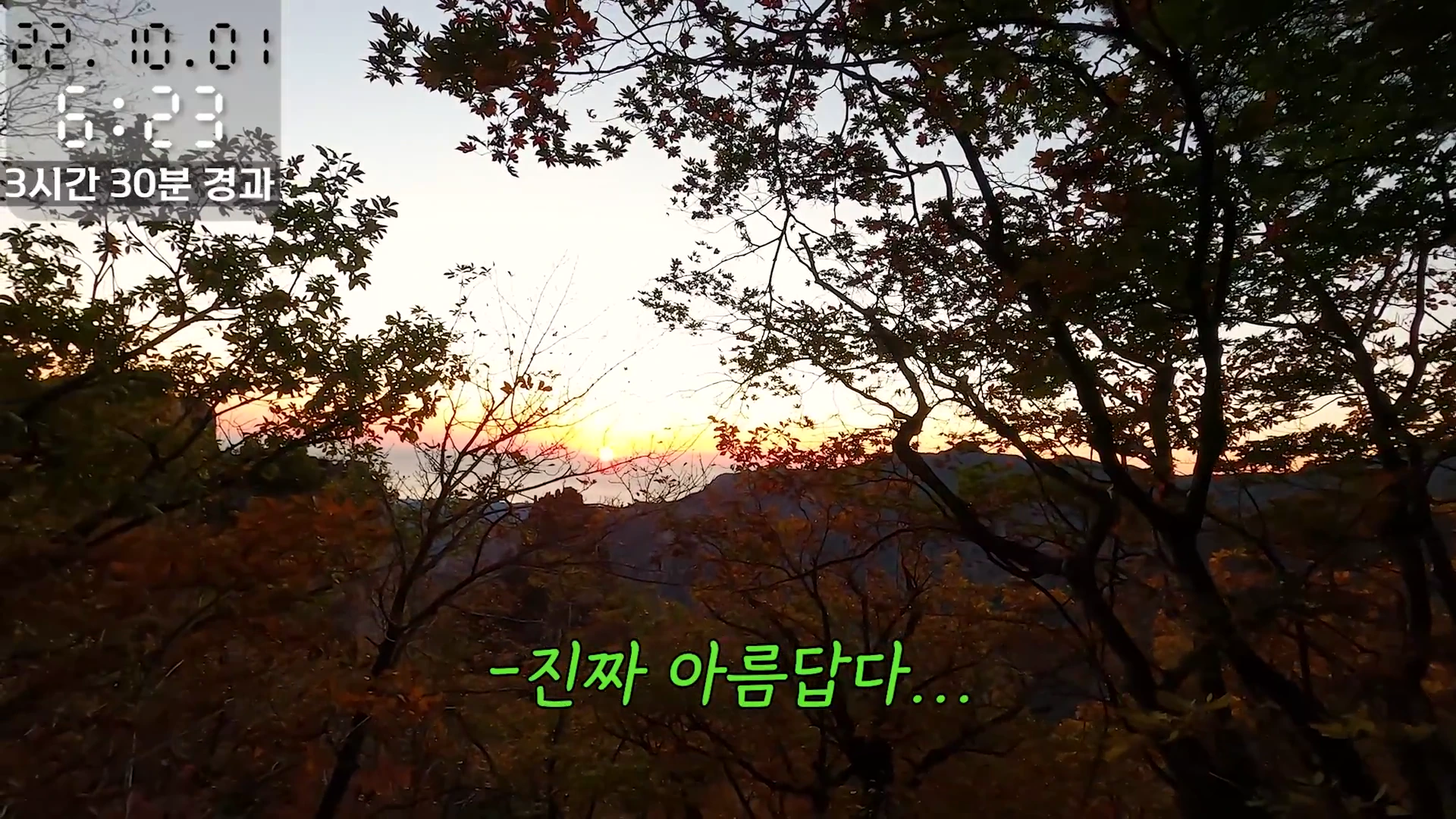 숲 사이로 떠오르는 새벽 일출과 산맥의 실루엣이 보이는 영상 캡처 화면이며, 좌측 상단에는 날짜와 경과 시간이 표시되어 있습니다.