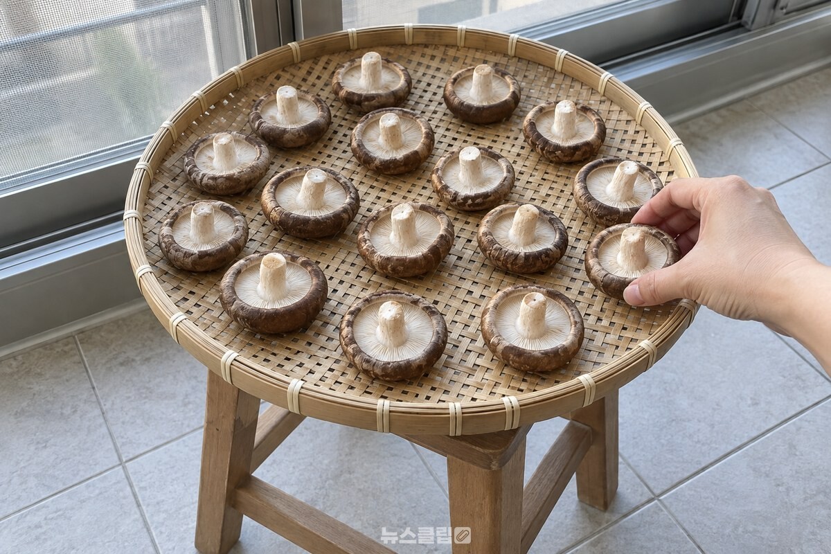 채반을 의자 위에 올려 두고 표고를 겹치지 않게 한 겹으로 놓고 있다. / 기사 이해를 돕기 위한 생성형 이미지