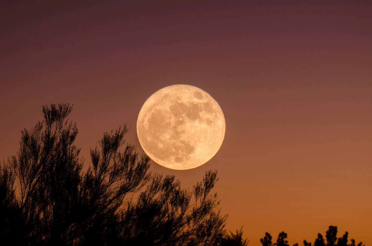 27일 새벽 가장 둥글다고 합니다 / 사진=unsplash