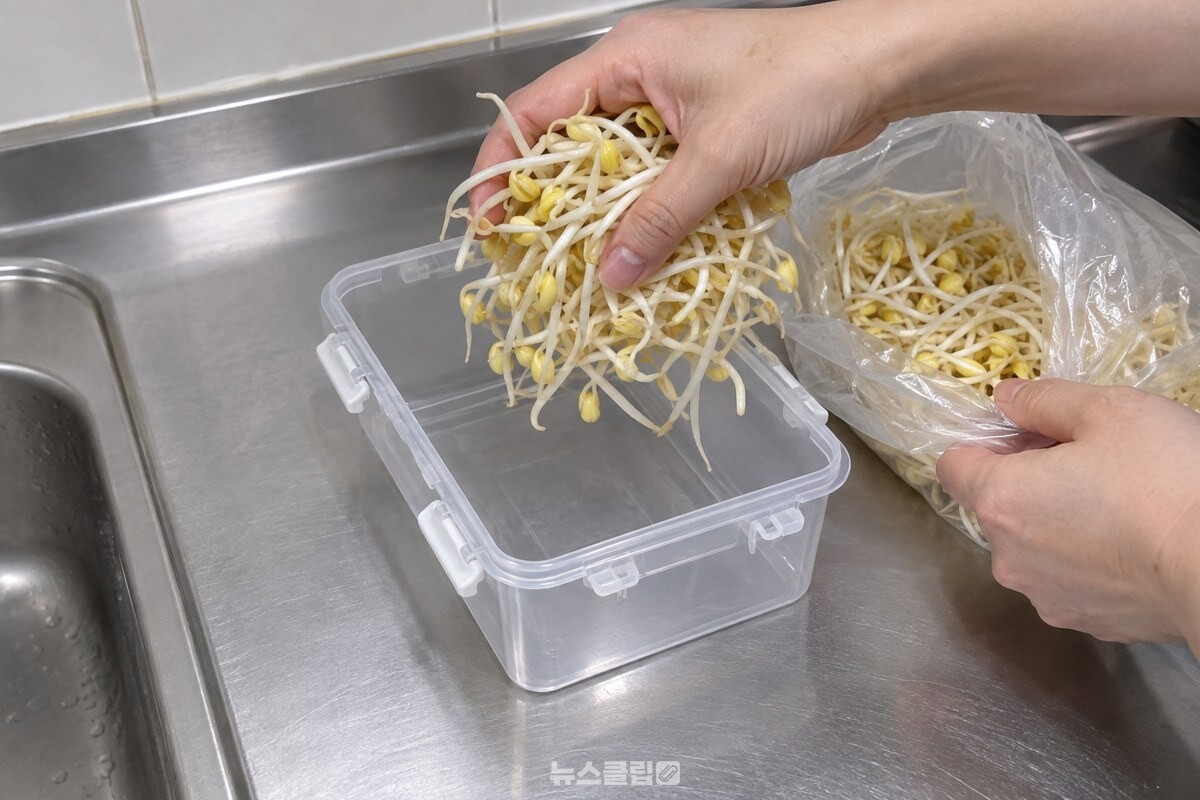 봉지에서 꺼낸 콩나물을 씻지 않은 채 빈 밀폐용기에 옮겨 담는 손. / 기사 이해를 돕기 위한 생성형 이미지