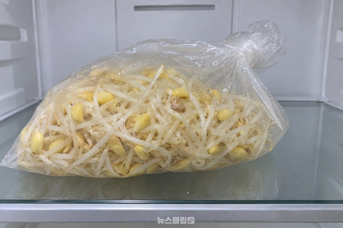 냉장실 선반 위에서 입구를 돌돌 만 비닐봉지 안쪽에 물방울이 맺히고 콩나물 머리 몇 개가 옅게 갈색으로 변한 모습. / 기사 이해를 돕기 위한 생성형 이미지