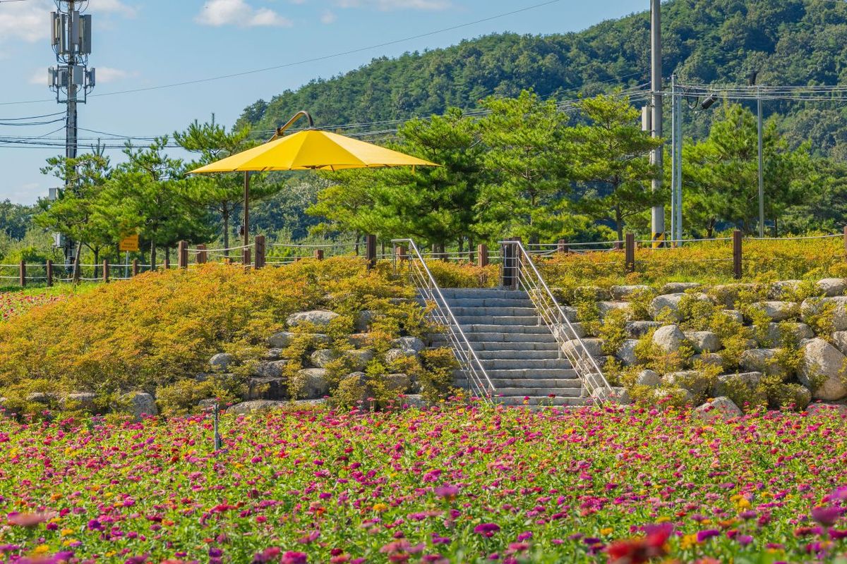 산소카페 청송정원 / 한국관광공사-박장용