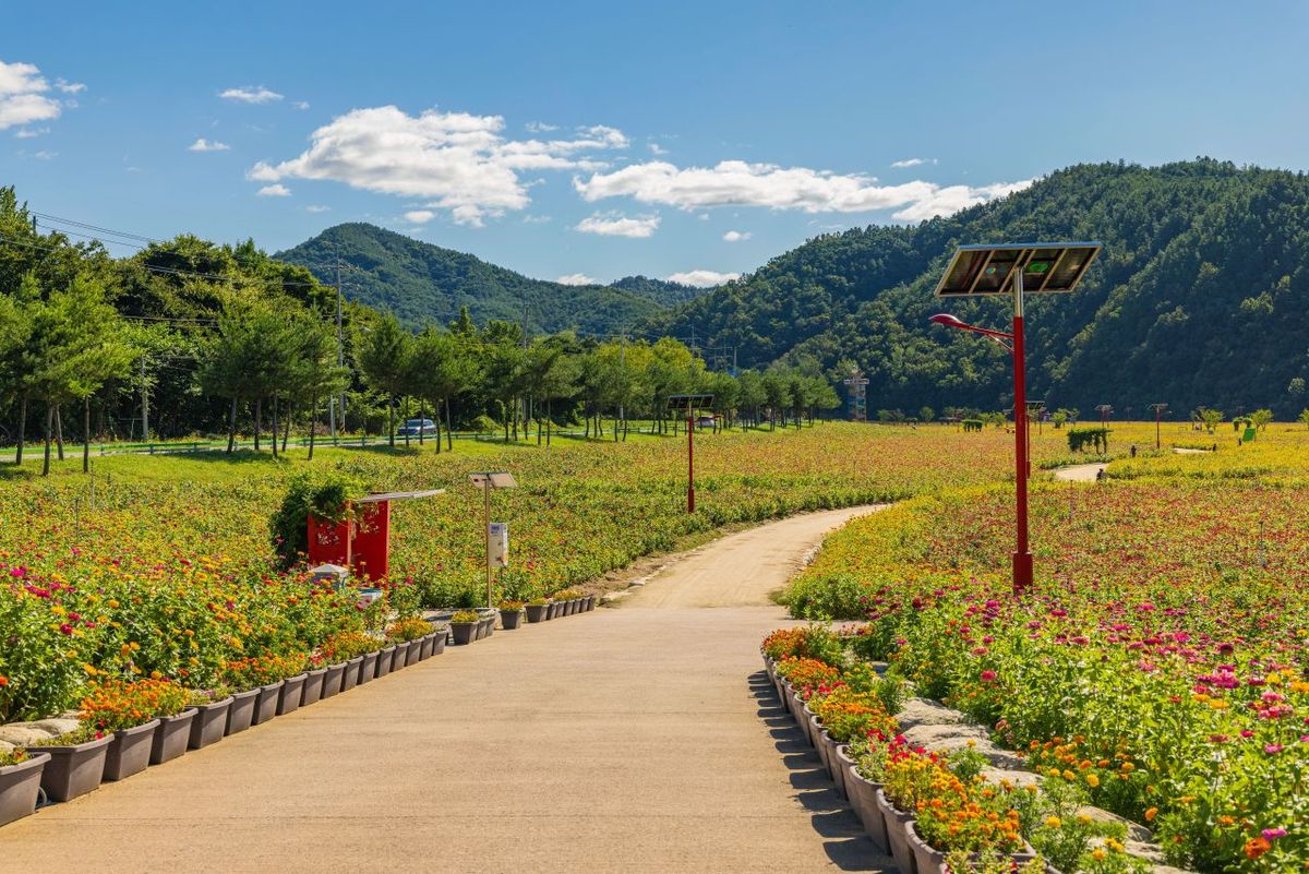 산소카페 청송정원 / 한국관광공사-박장용