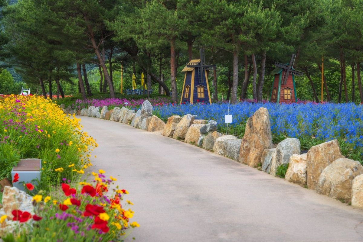 자라섬 / 한국관광공사-정규진