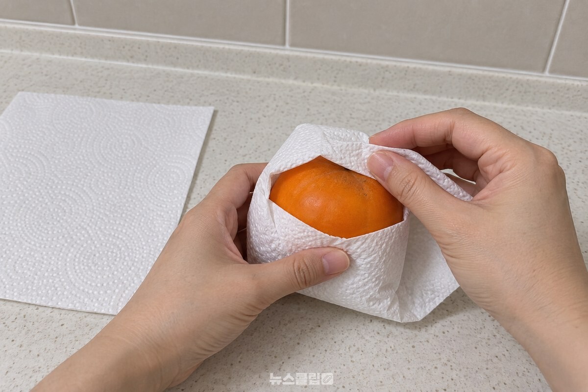 키친타월 한 장을 반으로 접어 밑면부터 감싼 뒤 위쪽에서 종이 끝을 접어 마무리하는 모습. / 기사 이해를 돕기 위한 생성형 이미지