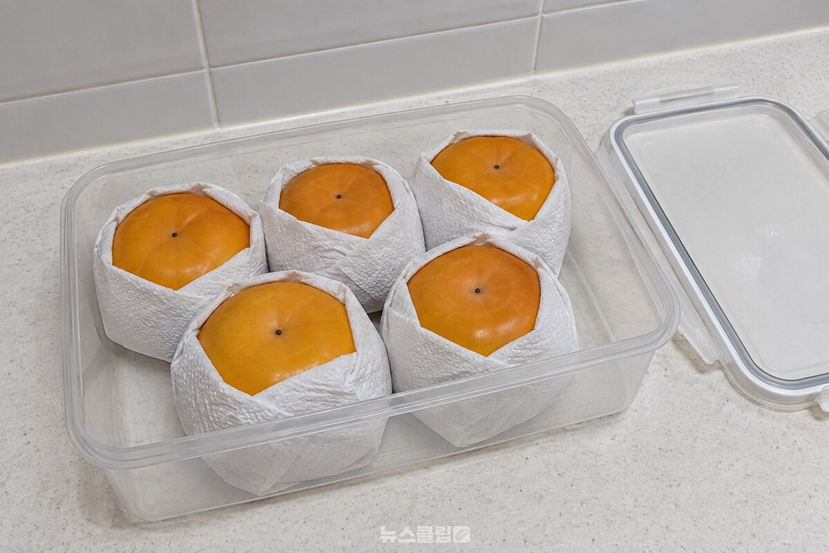 키친타월로 한 알씩 감싼 단감을 꼭지가 바닥을 향하게 뒤집어 밀폐용기에 한 층으로 세워 담은 모습. / 기사 이해를 돕기 위한 생성형 이미지