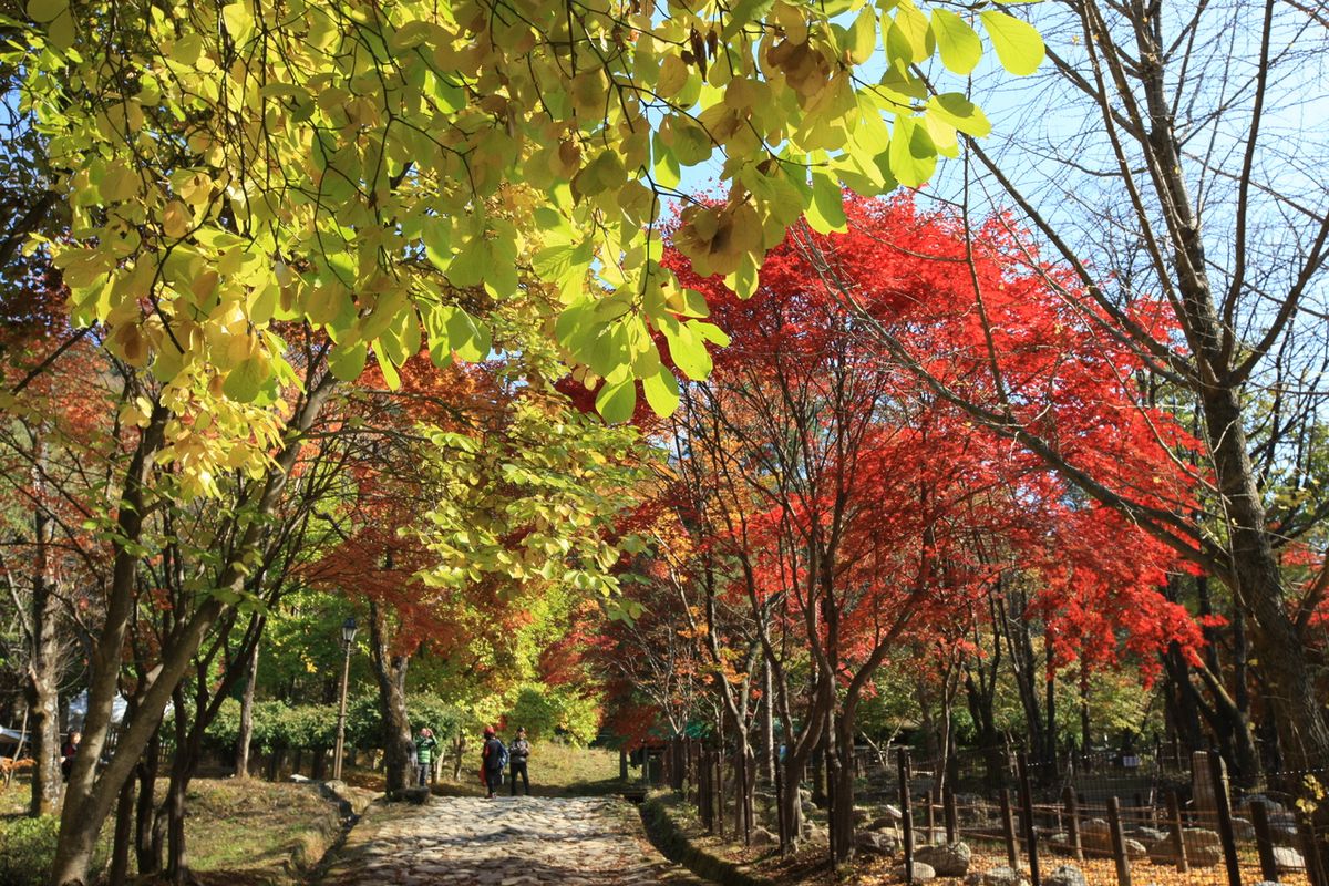 치악산국립공원 / 한국관광공사-박성근