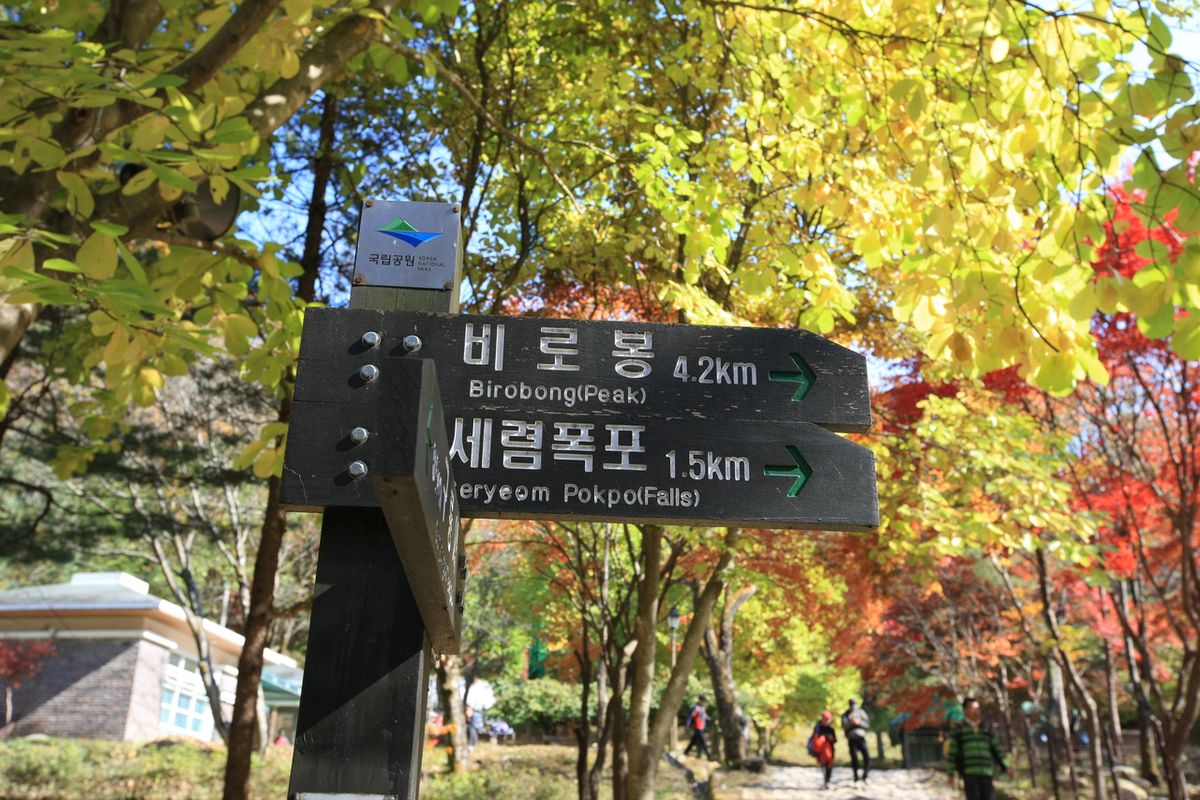 치악산국립공원 / 한국관광공사-박성근
