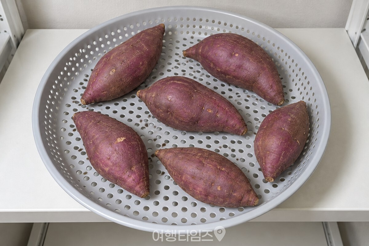 구멍이 뚫린 플라스틱 채반 위에 고구마를 한 겹으로 펼쳐 놓은 모습. / 기사 이해를 돕기 위한 생성형 이미지