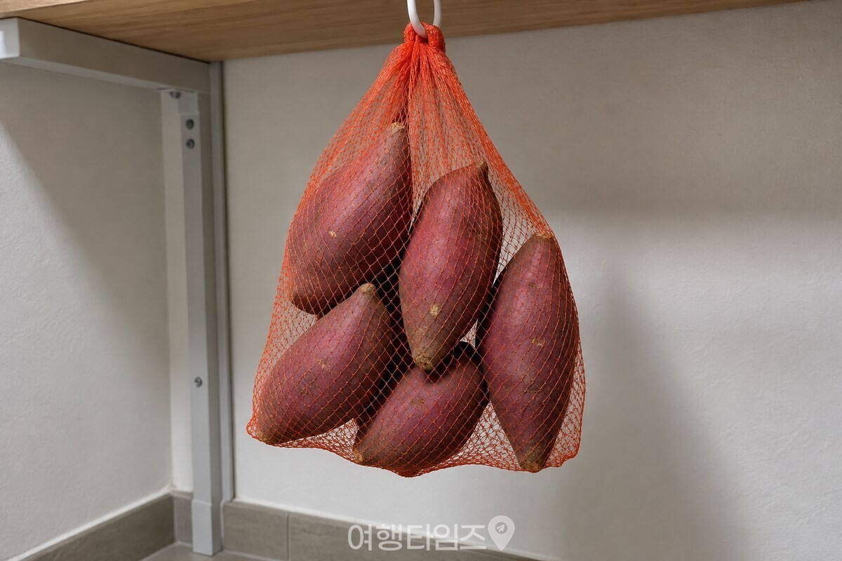 마른 흙을 털어 낸 햇고구마를 양파망에 나눠 담아 걸어 둔 모습. / 기사 이해를 돕기 위한 생성형 이미지