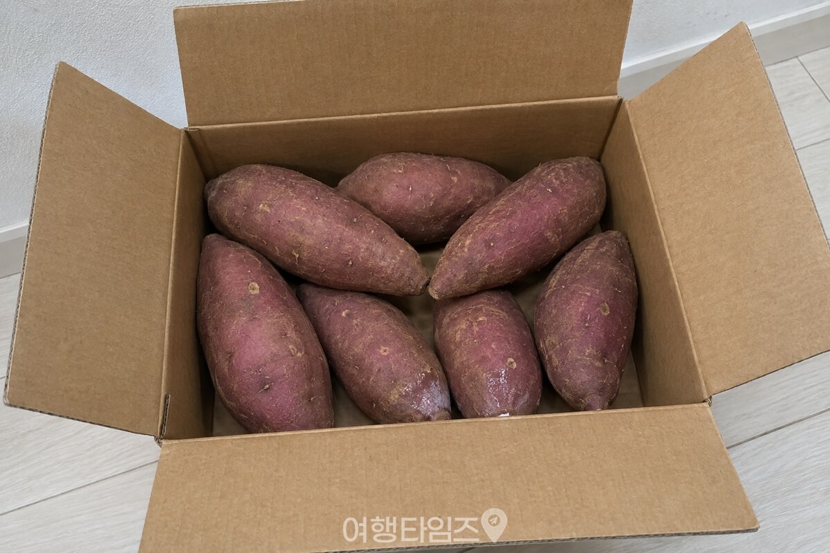 종이 상자 바닥에 겹쳐 담긴 고구마 가운데 한두 개의 껍질에만 옅은 습기가 보이는 모습. / 기사 이해를 돕기 위한 생성형 이미지
