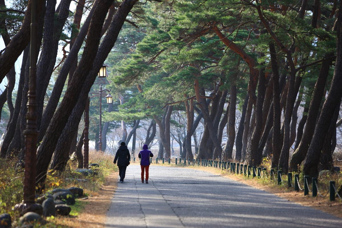 청도 운문사 / 한국관광공사-김지호