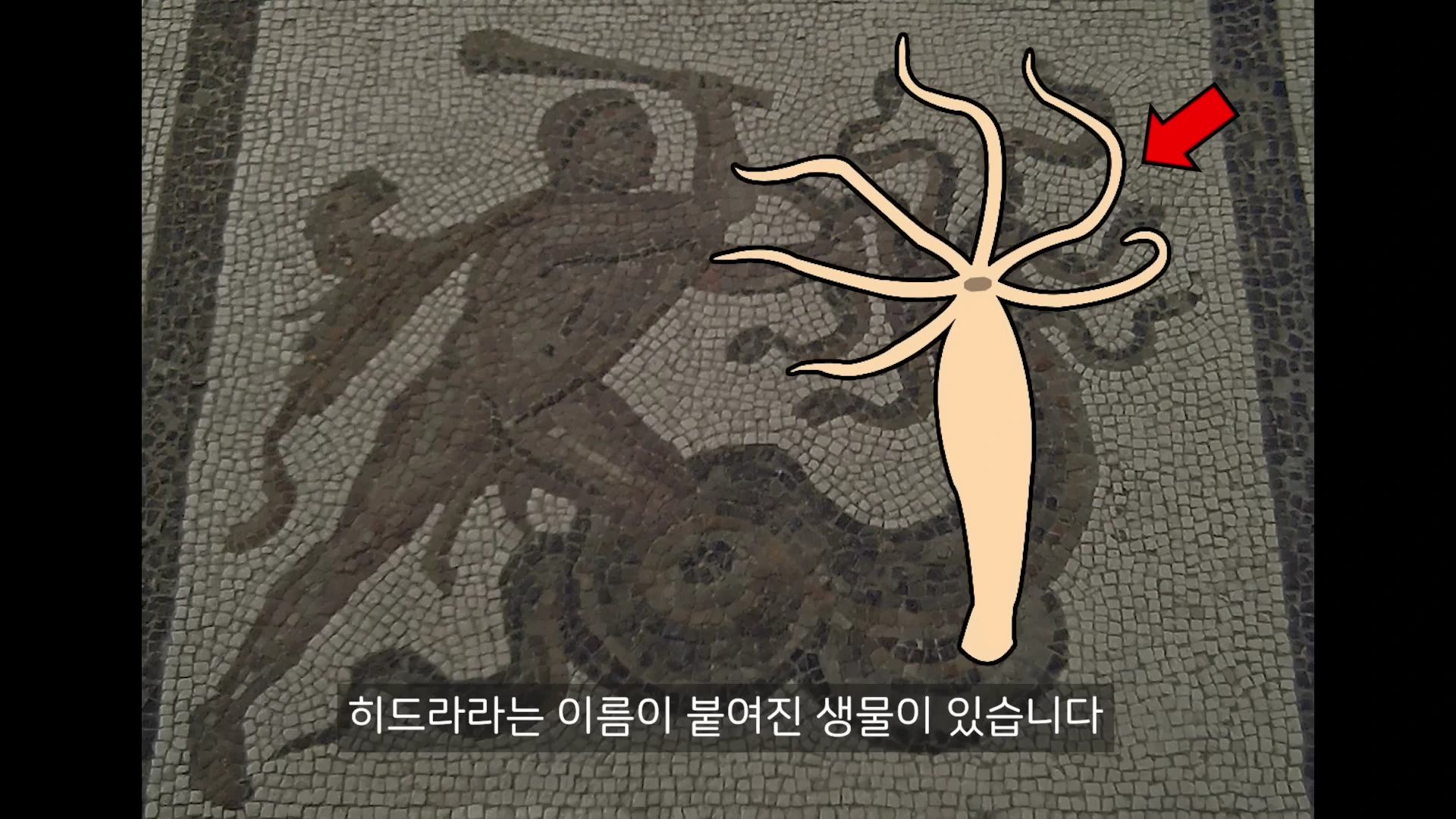 신화 속 괴물 히드라가 그려진 고대 모자이크 벽화 위에 촉수가 달린 생물 히드라의 일러스트가 겹쳐져 있고, 빨간색 화살표가 가리키고 있다.
