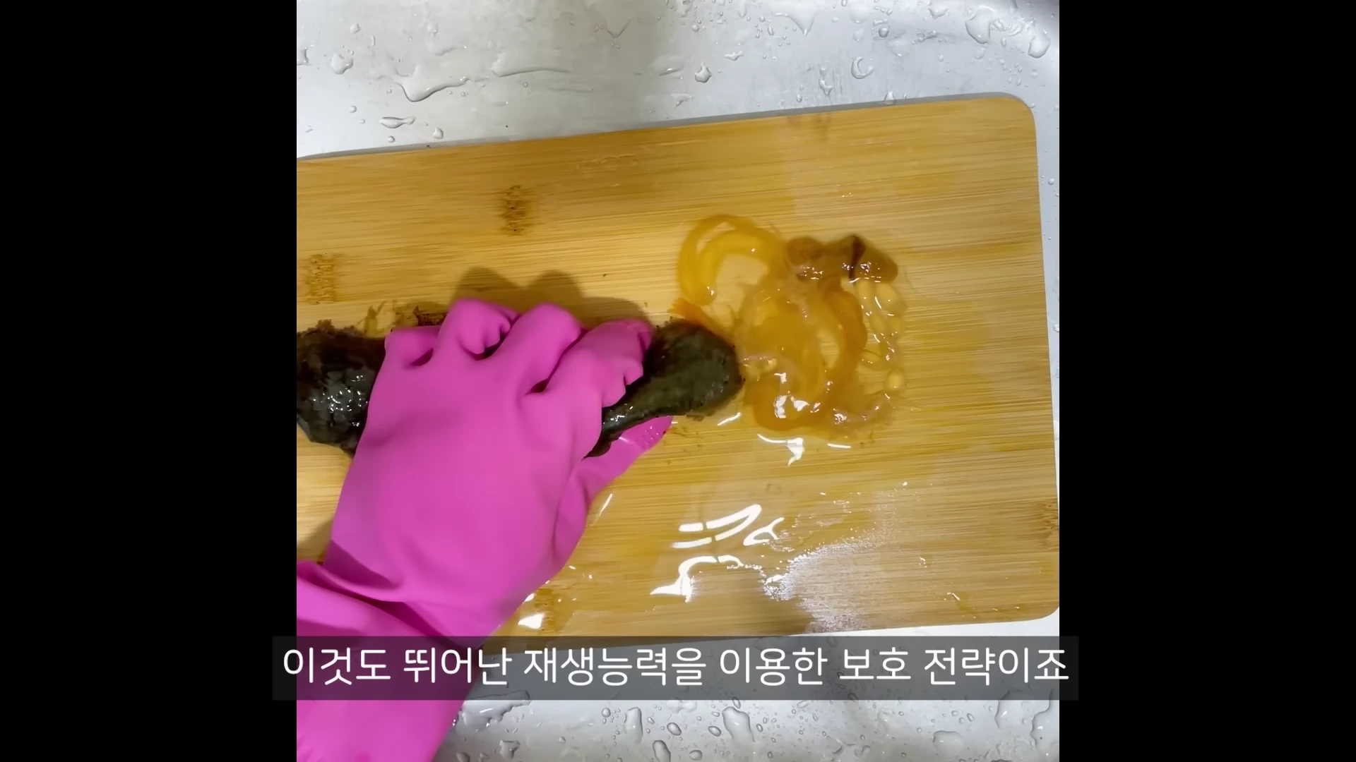 분홍색 고무장갑을 낀 손이 도마 위에서 해삼의 내장을 밖으로 꺼내는 모습.
