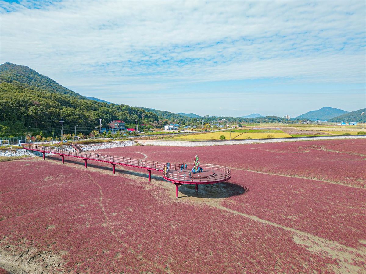 석모도 칠면초 군락지 / 한국관광공사-김지연
