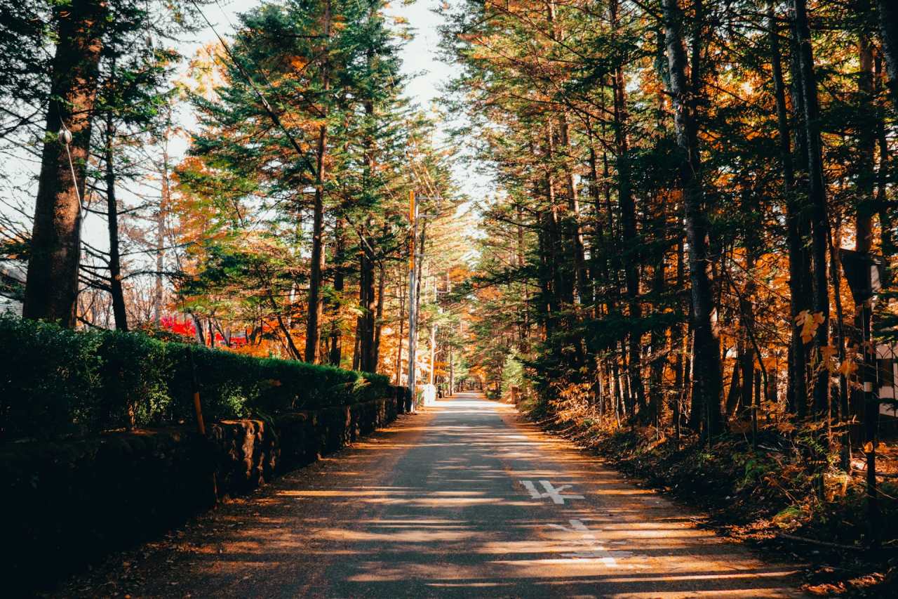 가루이자와 소도시 여행 / 사진=unsplash
