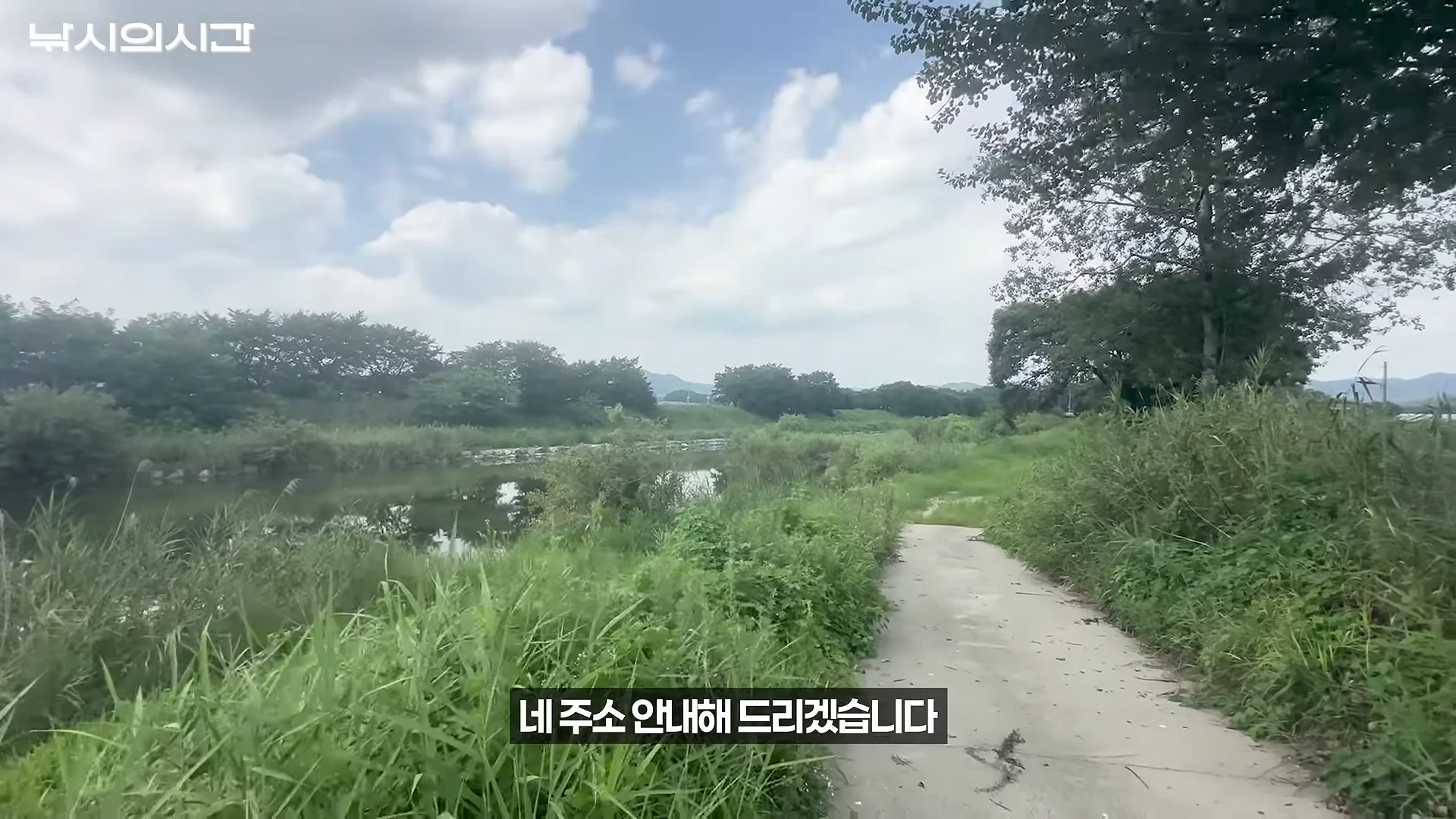 풀이 무성하게 우거진 강가 옆으로 콘크리트 길이 이어져 있는 노지 낚시터 전경