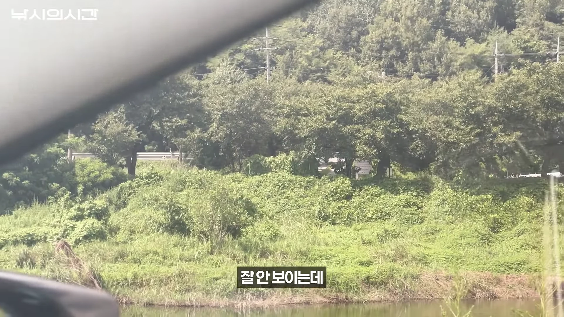 차량 내부에서 바라본 하천변 풍경으로, 빽빽한 수풀과 나무들이 우거진 강가 옆 산책로가 보입니다.
