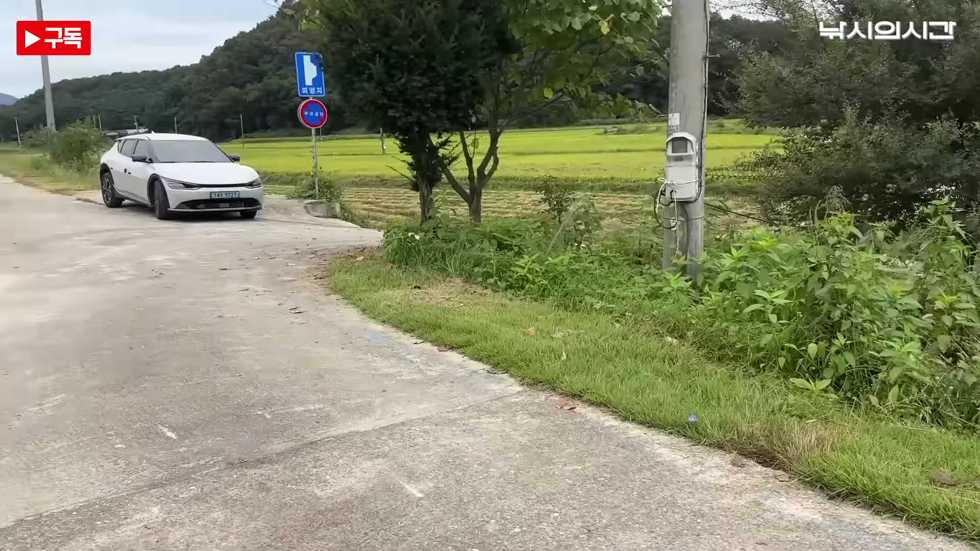 시골길 위에 은색 승용차 한 대가 주차되어 있으며, 도로 옆으로 논밭과 나무, 전봇대가 보이고 표지판이 서 있는 풍경의 영상 캡처 화면.