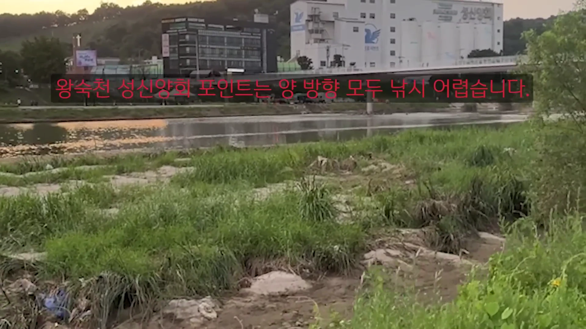 성신양회 건물이 보이는 왕숙천 하천변에 잡초와 진흙 바닥이 드러나 있고, 영상 상단에는 '왕숙천 성신양회 포인트는 양 방향 모두 낚시 어렵습니다.'라는 자막이 적혀 있습니다.